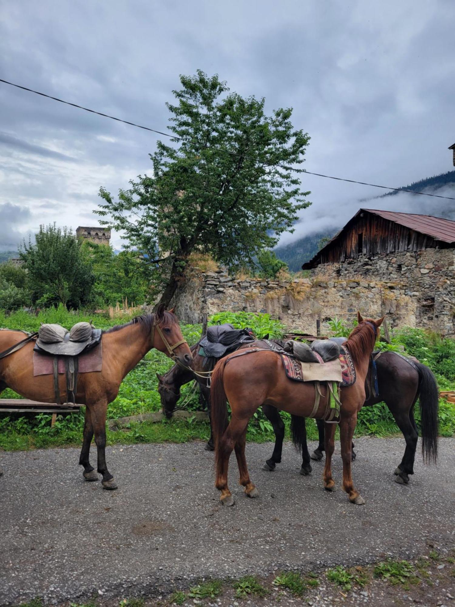 Ailama Guesthouse Mestia Kültér fotó
