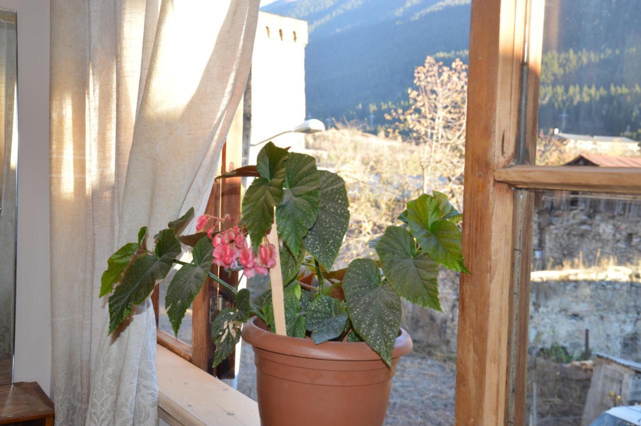 Ailama Guesthouse Mestia Kültér fotó